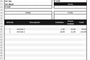 Formato de orden de compra: cómo llenarla y ejemplos